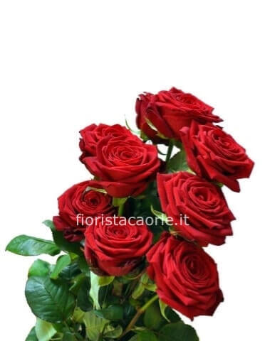 Mazzo di rose rosse a scelta corte